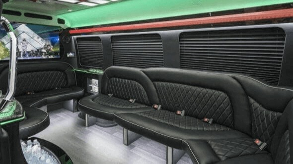 west virginia 14 passenger sprinter limousine inside